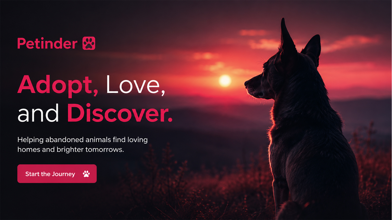 Petinder pet adoption platform helping abandoned animals connect with new homes.
