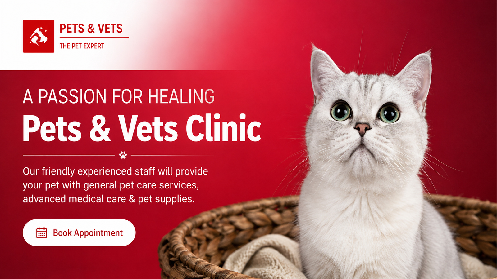 Pets & Vets veterinary clinic banner featuring a cat and pet medical care, veterinary services, and supplies.