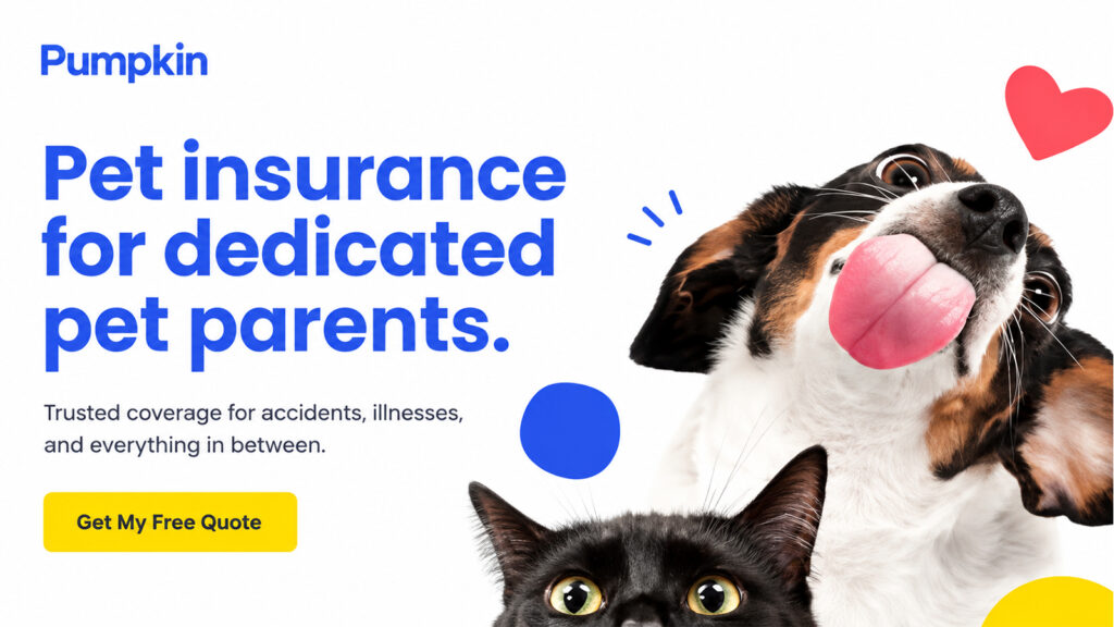 Pumpkin pet insurance coverage for dogs and cats including accidents and illnesses.
