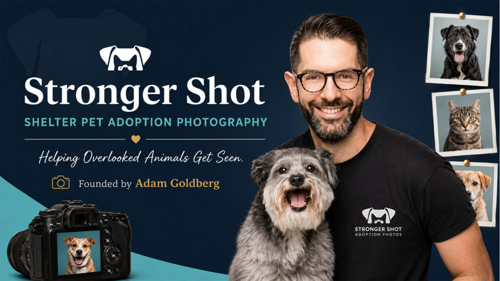 Stronger Shot shelter pet adoption photography helping rescue dogs and cats gain visibility for adoption.