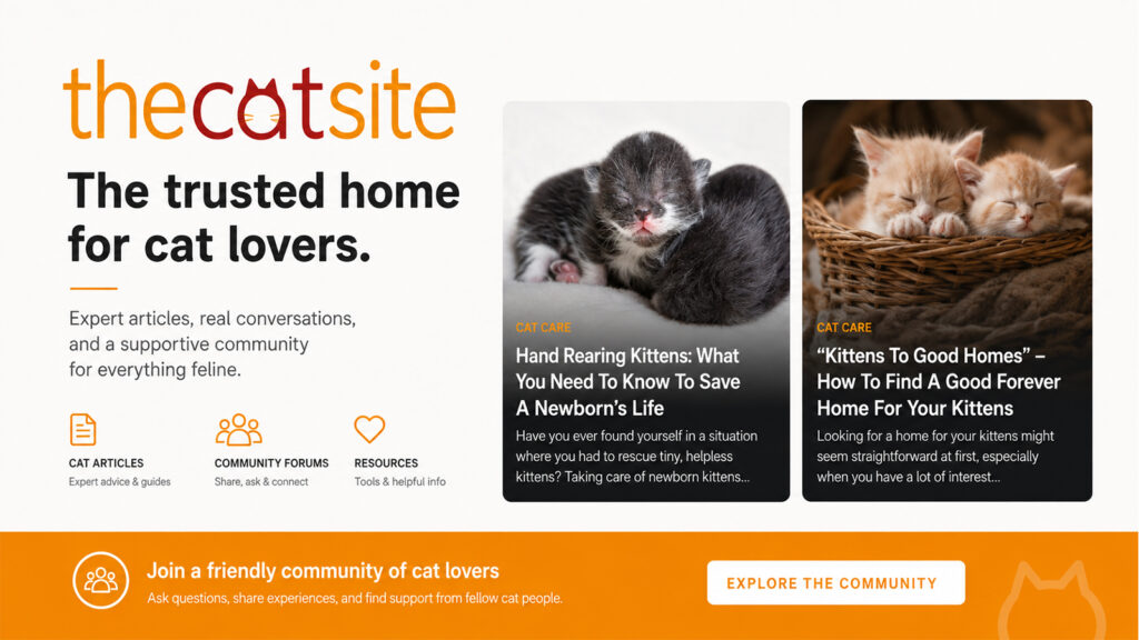 TheCatSite cat care community featuring expert articles, kitten care guides, forums, and cat owner resources.