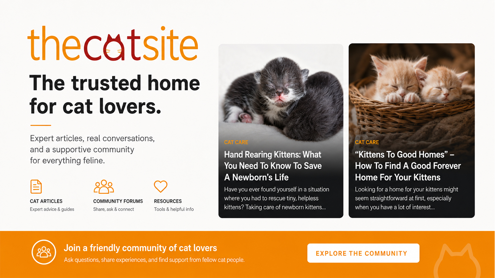 TheCatSite cat care community featuring expert articles, kitten care guides, forums, and cat owner resources.