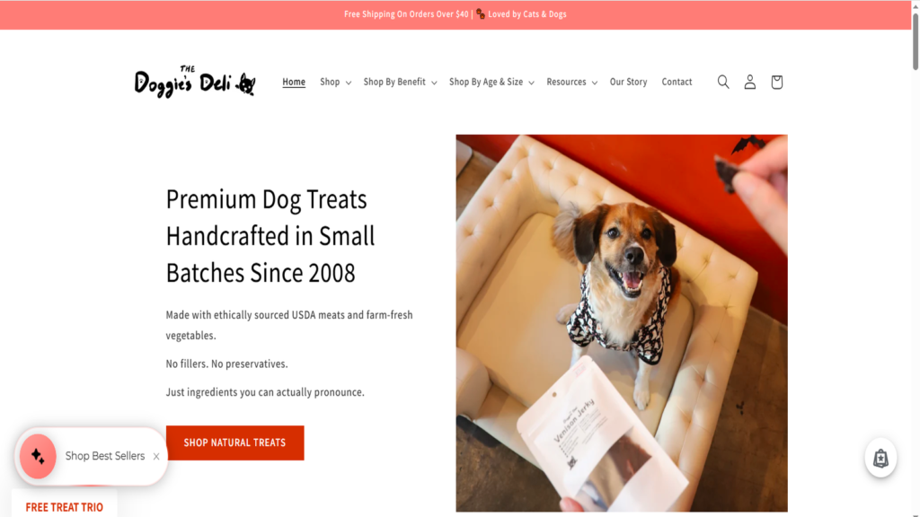 Since your focus keyphrase is “pet bed factory,” it should not be forced into this image's alt text because the image is about dog treats, not pet beds.