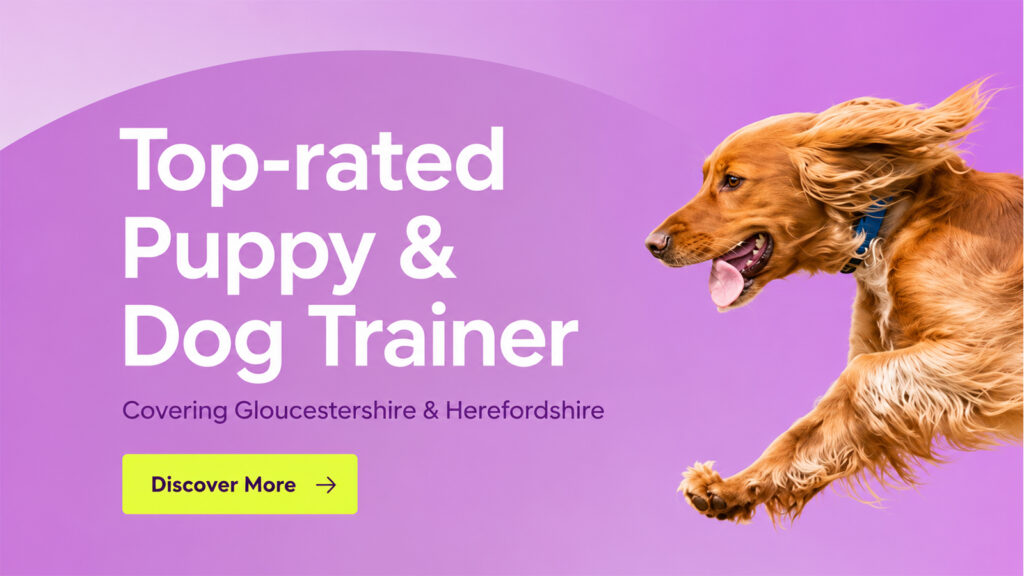 Top-rated puppy and dog trainer serving Gloucestershire and Herefordshire with professional dog training services.