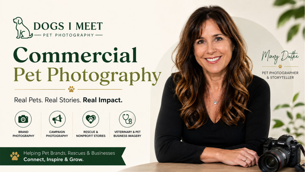 Dogs I Meet commercial pet photography for pet brands, veterinary businesses, rescues, and nonprofit organizations.