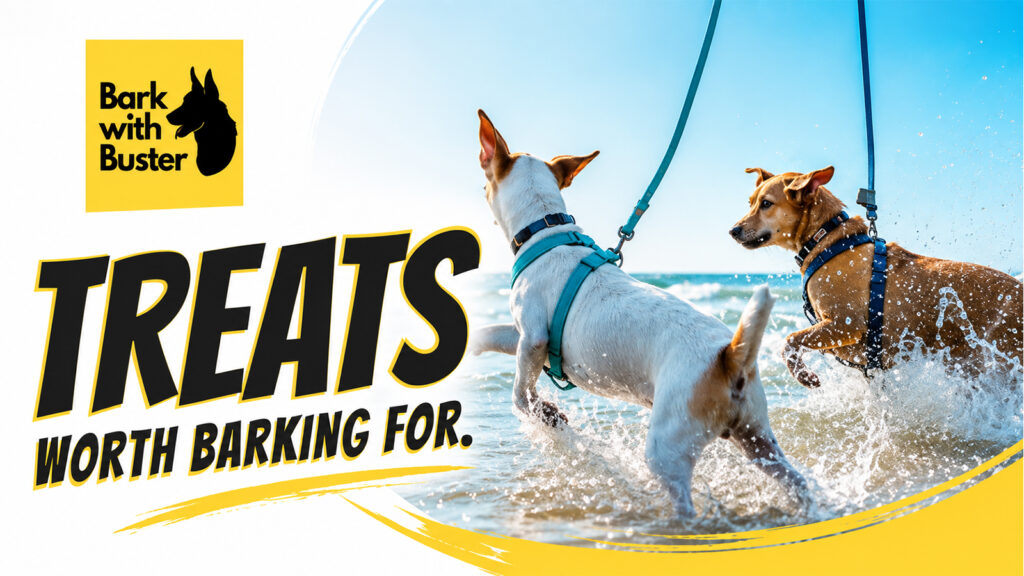 Bark with Buster dog training treats banner featuring two dogs playing in ocean water on leashes.