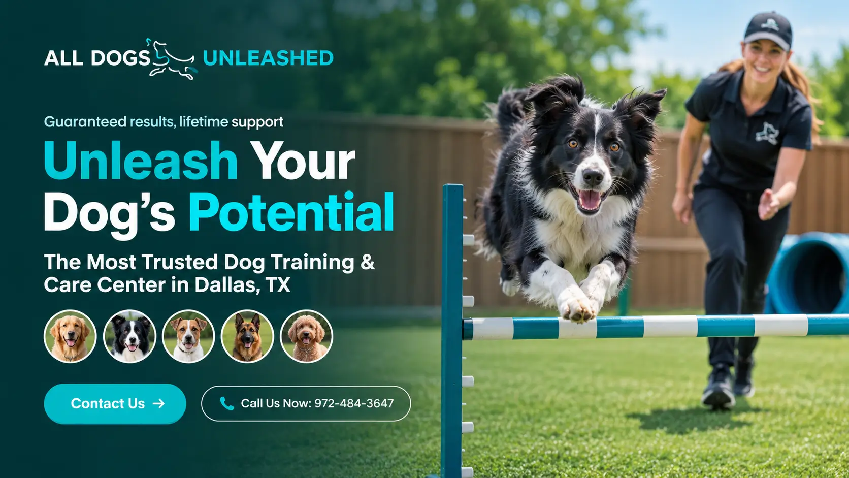 All Dogs Unleashed