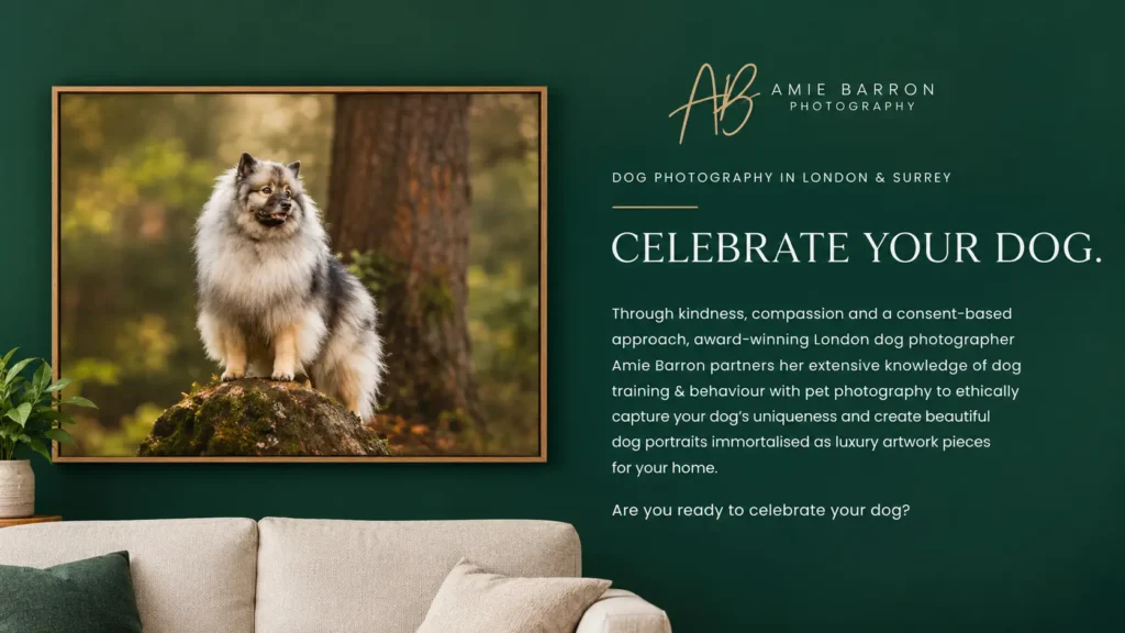 Amie Barron Photography dog portrait displayed on a green wall, showcasing professional dog photography in London and Surrey.