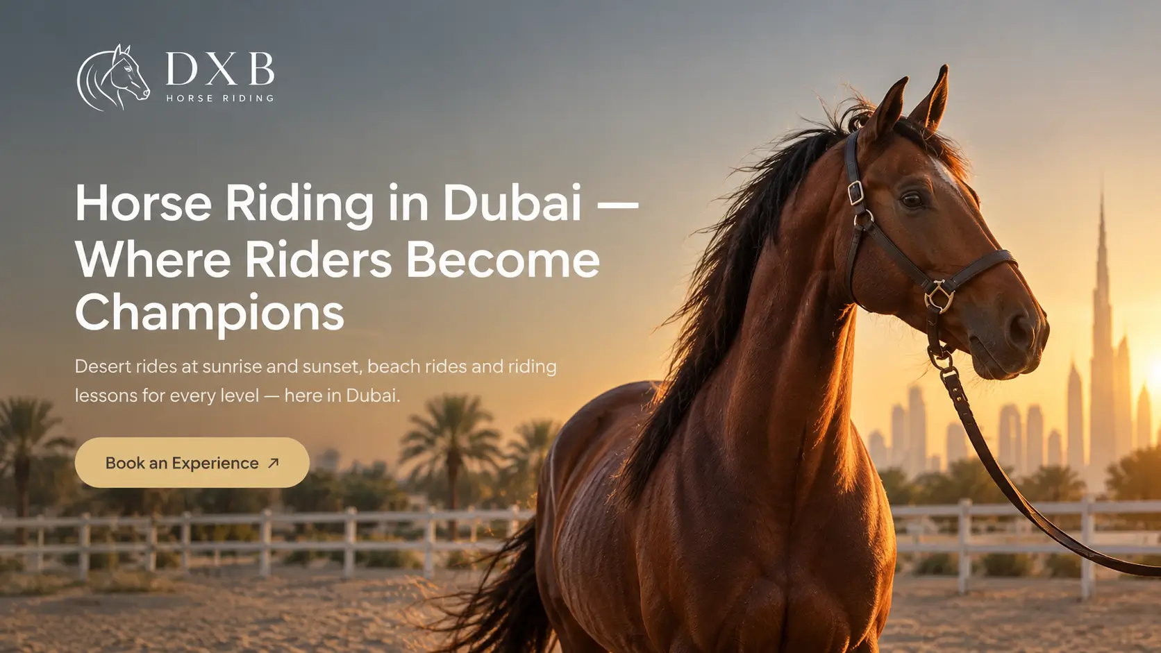 DXB Horse Riding in Dubai featuring a beautiful chestnut horse at sunset, representing horse riding experiences, desert rides, beach rides, and riding lessons.
