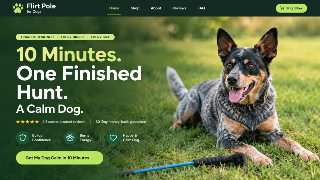 Whimsy Stick | Flirt Pole for Dogs training tool with an active dog playing outdoors on grass