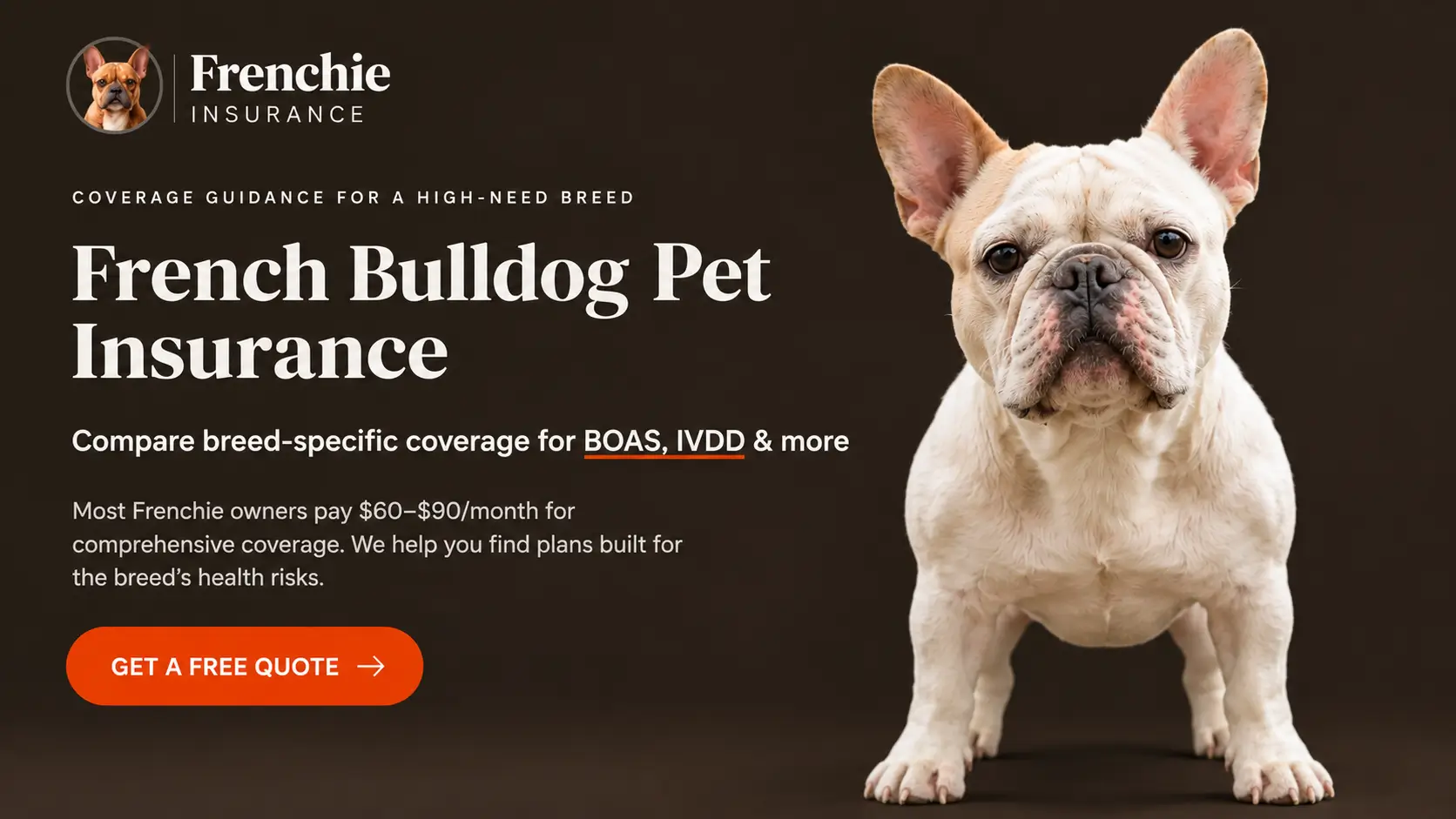 Frenchie | French Bulldog pet insurance coverage for BOAS, IVDD and breed-specific health conditions