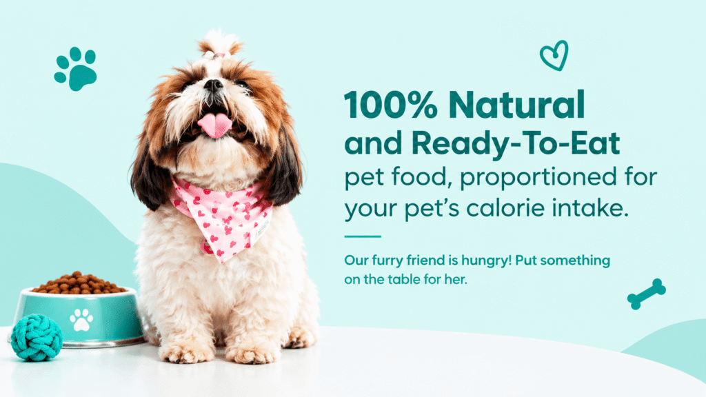 Happy fluffy dog wearing a pink heart-patterned bandana beside a pet food bowl on a mint background, promoting 100% natural ready-to-eat pet food with portion-controlled meals.