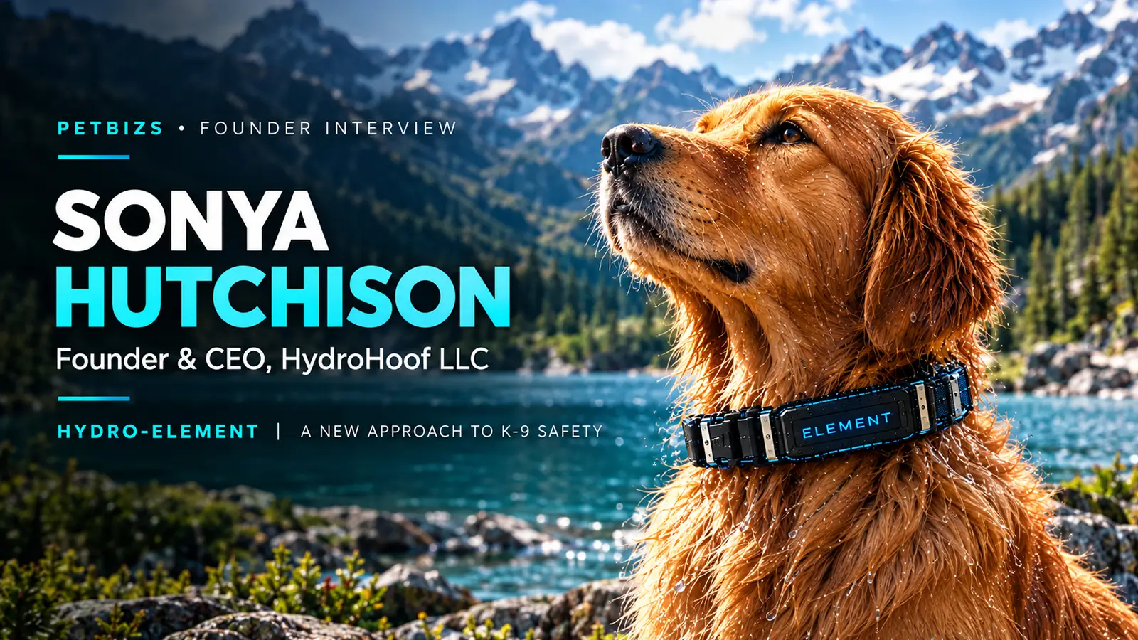 Hydro-Element interview with Sonya Hutchison: a golden retriever wears the collar beside a mountain lake