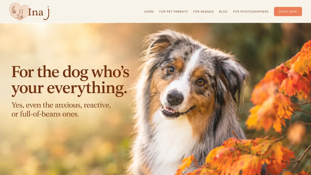 Ina J Photography featuring an Australian Shepherd dog surrounded by autumn leaves, showcasing natural pet portraits for every personality.