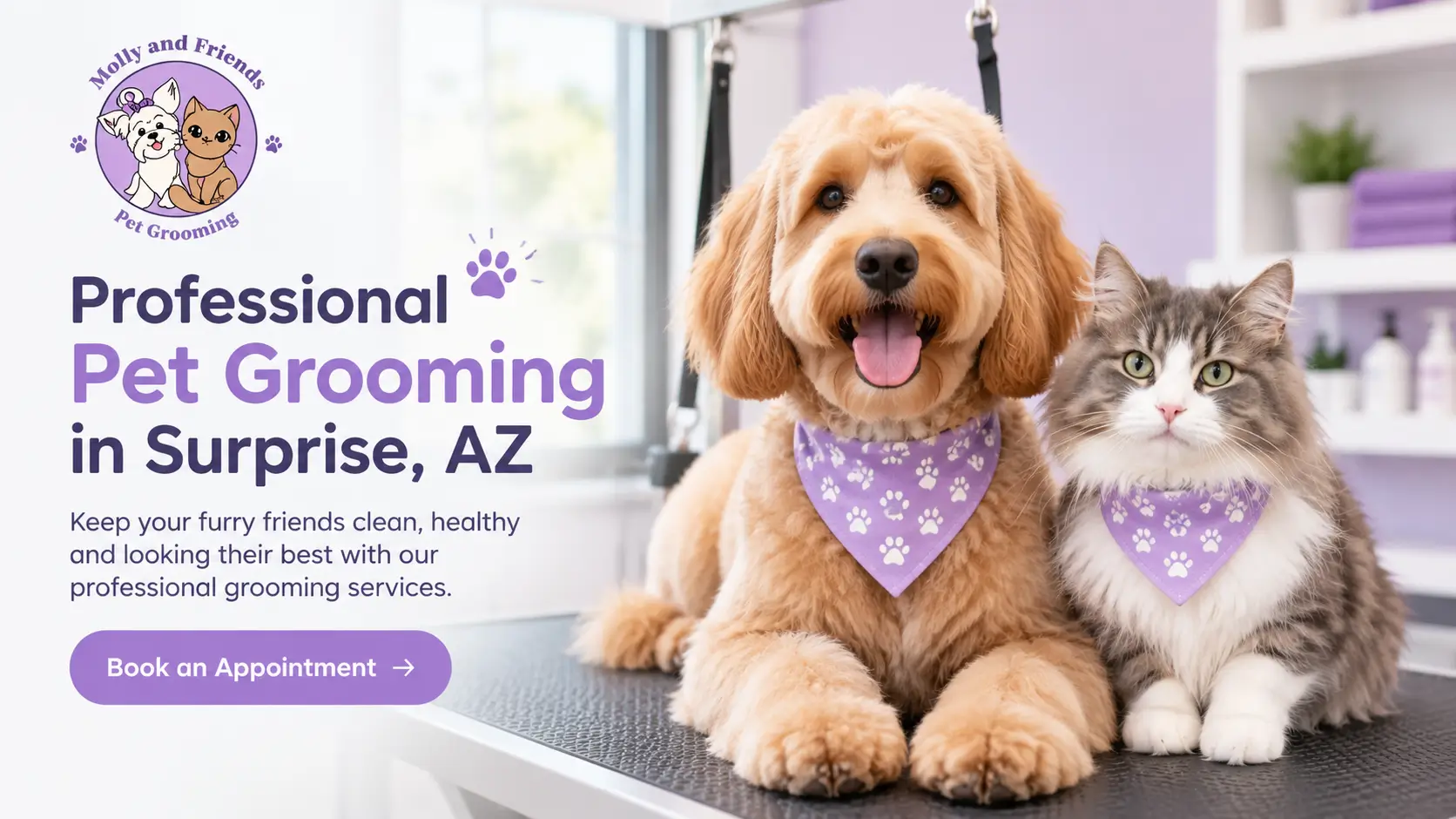 Molly and Friends Pet Grooming featuring a golden fluffy dog and gray-and-white cat in a professional pet grooming salon in Surprise, Arizona.