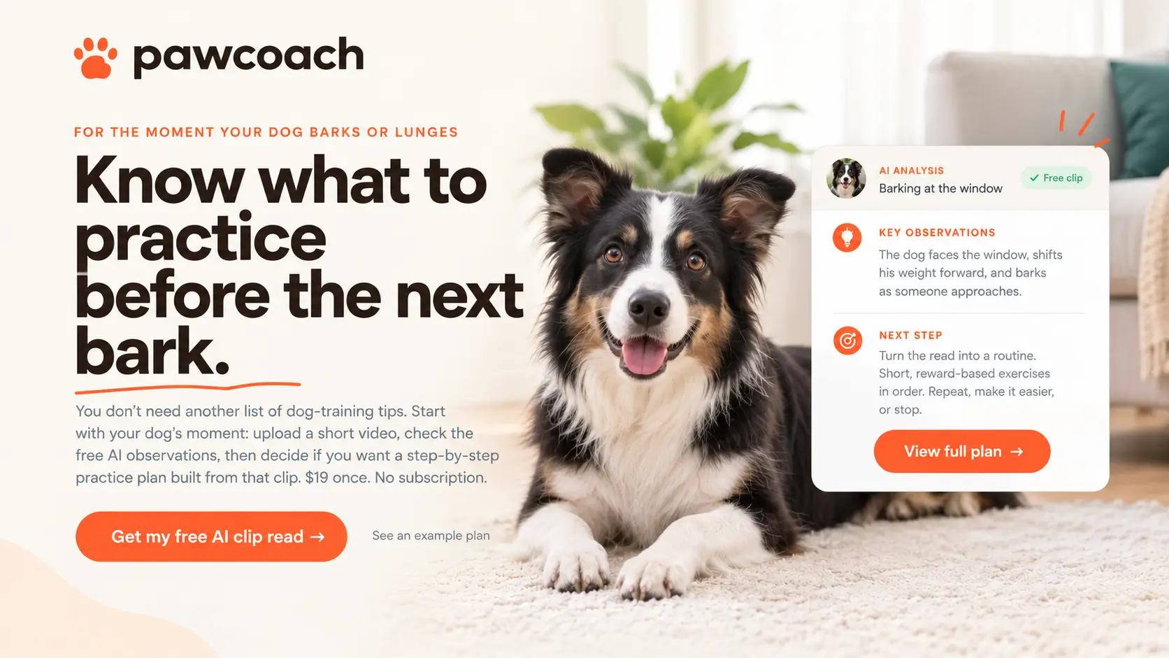 Pawcoach AI dog training banner featuring a black-and-white Border Collie with tan markings and an AI-powered dog behavior analysis card.