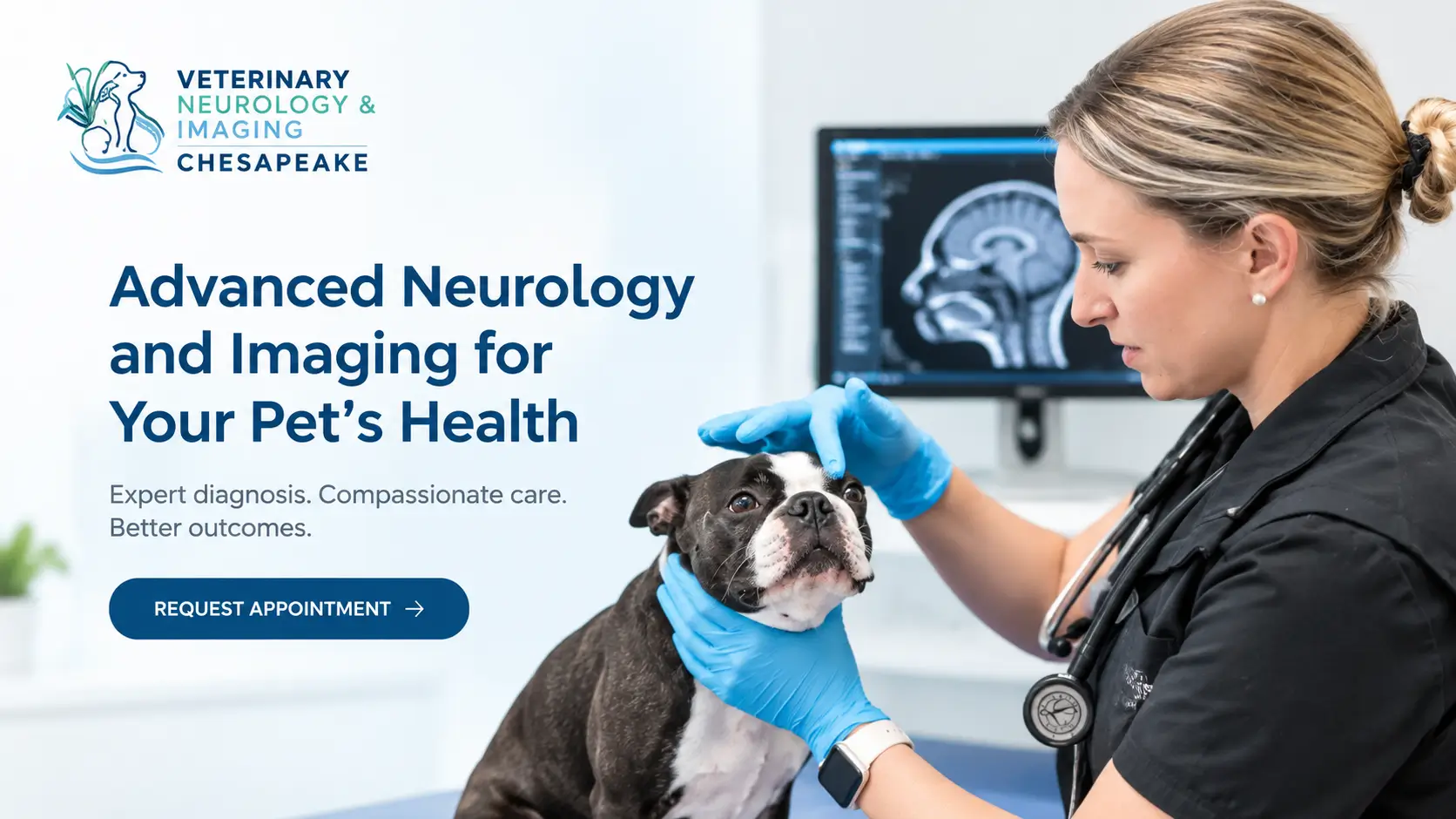 Veterinary Neurology and Imaging of the Chesapeake providing advanced veterinary neurological care and diagnostic imaging for dogs.